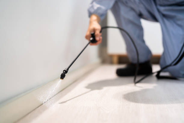 Licensed Termite Control service in Colbert, OK - Nex Pest Control