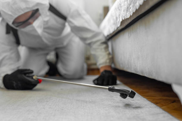 Professional Termite Control technician working in Colbert, OK