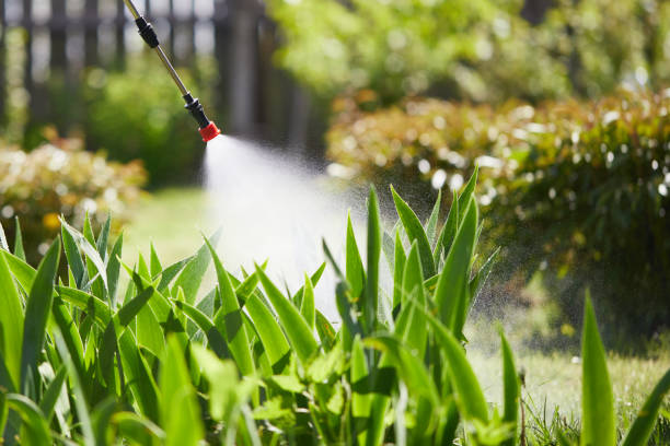 24/7 Emergency Termite Control experts in Colbert, OK