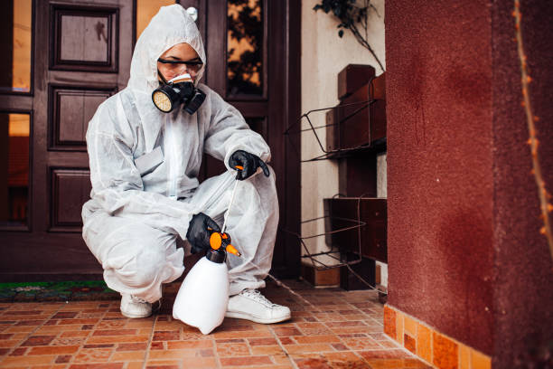 Reliable Termite Control contractor in Colbert, OK by Nex Pest Control