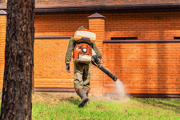 Top rated local Termite Control specialists in Colbert, OK